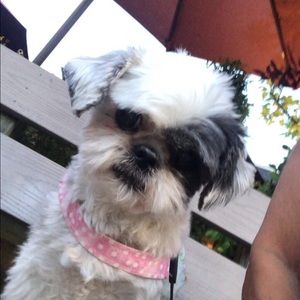 Meet your Posher, Pam